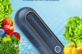 Portable Vegetable Cleaning Machine Device